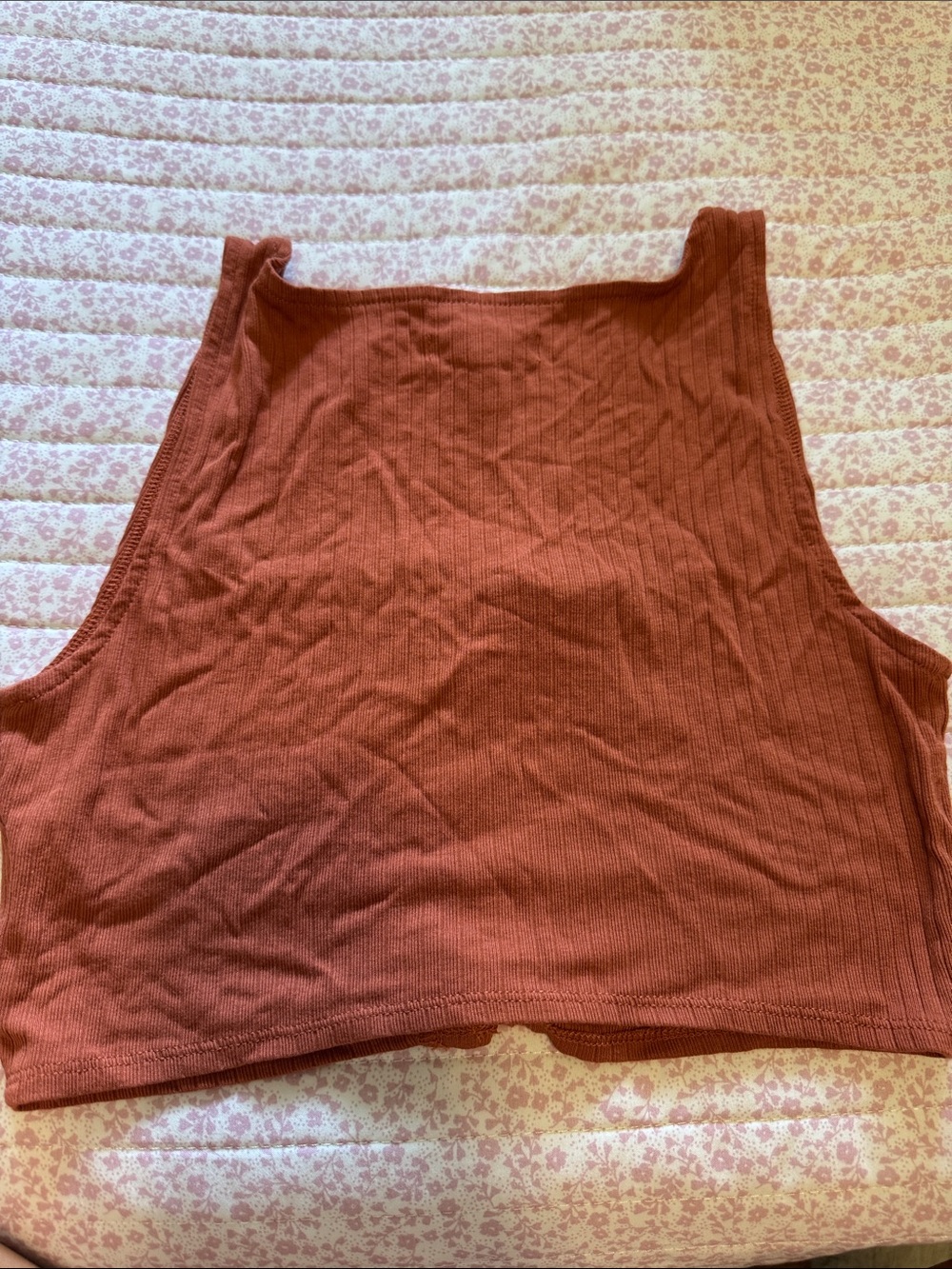 Madewell Rust Ribbed Button-Front Crop Tank - Picture 3 of 3